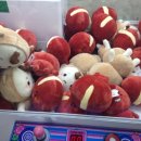 인형뽑기방(영) 이미지