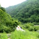 김삿갓면사무소 이미지