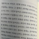 사적인사과 지적인수박