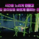 주식회사 모멘텀게임즈 이미지