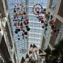 시골장터 | 용인 포레스트 아웃팅스 원평시골장터 순대국 내장무침 포장 후기