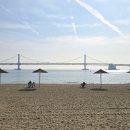 연화공원 부산타워 | 산책 / 자갈치시장 생선구이로 점심 먹고 동태·갈치 구입/ 용두산공원(부산타워) 산책 /여행 후기