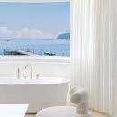 스테이 새록 이미지