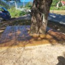 서석면사무소 이미지