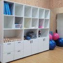 지에스(GS)25 단양소선암점 | 소선암 치유의 숲에서 건강측정, 운동 치유 장비 체험하고 왔어요