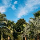 토스카나호텔 이미지