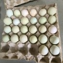 새소리농장 이미지