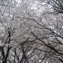 도당공원 이미지