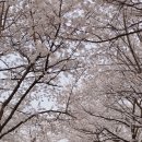 세월천로137번길 이미지