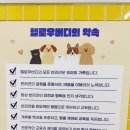 헬로우버디 분당점 이미지