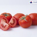 (주)명성지질