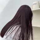 봄!염색샵