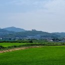 단평2리 이미지