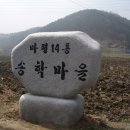 마평14통 티스토리