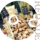 현호농장 이미지