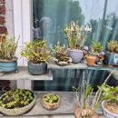 그림정원 이미지