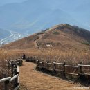 아라리촌 카페 | 강원도 정선 가볼만한곳 BEST6 정선여행 필수코스 총정리