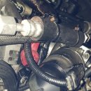 유크리닝 이미지