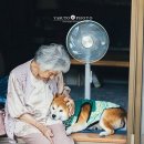 도시인력 이미지
