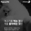 펫나라 이미지