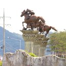 진해구 ⓒ-36 이미지