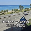 더 퍼피즈 블루오션 이미지