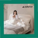 라자가구 - 광진구 천호대로 541 | 라자가구 뮬러 아쿠아텍스 패브릭 침대 사용후기, 30일 사용한 진짜 이유