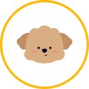 한성약품 이미지