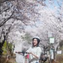 더미스튜디오