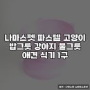 나마스펫