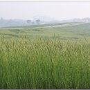 여명목장2 이미지