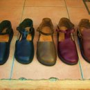 aurora(오로라) 이미지