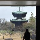 대로노모당 | 오사카 여행 | 오사카 가볼만한 곳 후지타미술관 방문후기