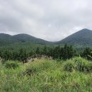 궷물오름 이미지