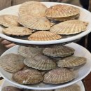 감성조개 | 태종대맛집 감성조개 내돈내산 방문후기 (다른데가세오)