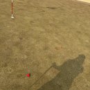 무안컨트리클럽 | 전남 겨울 골프 라운딩⛳Onal 일기