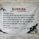 매지리엄나무집 네이버블로그