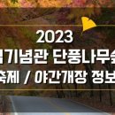 단풍나무펜션 이미지