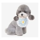 쁘띠 애견 이미지