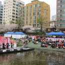 밝은명약국 | 은평 벚꽃축제 (불광천 특별 수상무대 2015.04,12)