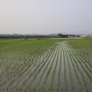 바람과노을