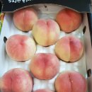 참새골농원 이미지