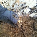 학선농장 이미지