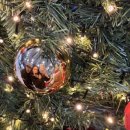 모라스테이 이미지