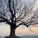 떡사랑방앗간 - 포항시 북구 학전로111번길 16-7 | 떡사랑방앗간