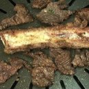 강남사슴농장 이미지