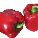 피망 이미지
