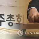 주식시장 선진화(?), 소액주주 보호를 위해 22대 국회에서 입법되길 바라는 사안 이미지