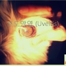 사랑우리애동물병원 이미지