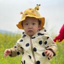 나라어린이집 이미지